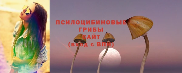 spice Алексеевка
