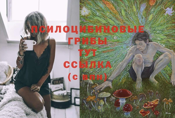 spice Абдулино