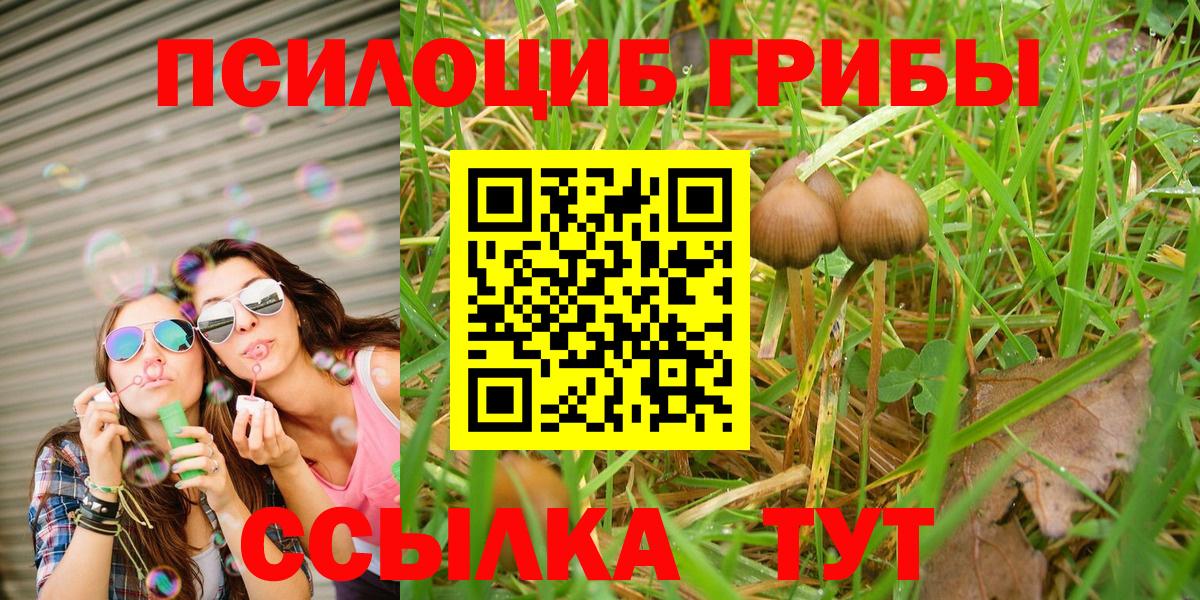 Галлюциногенные грибы MAGIC MUSHROOMS  Вход с VPN  Энгельс 